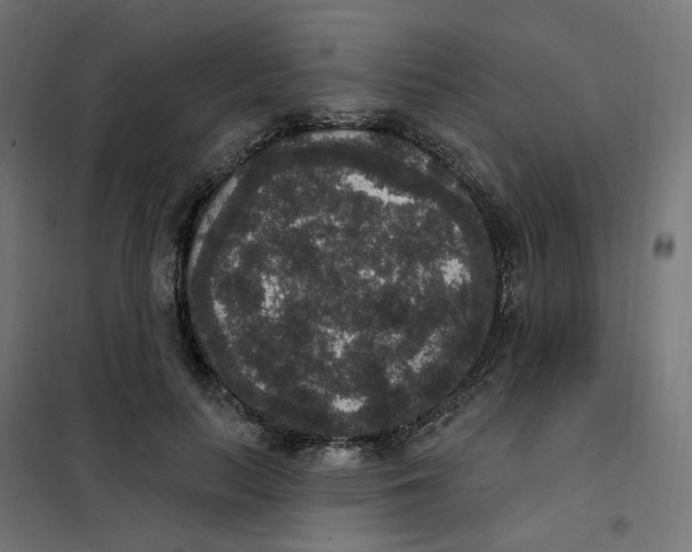 X0000102040647200808081836