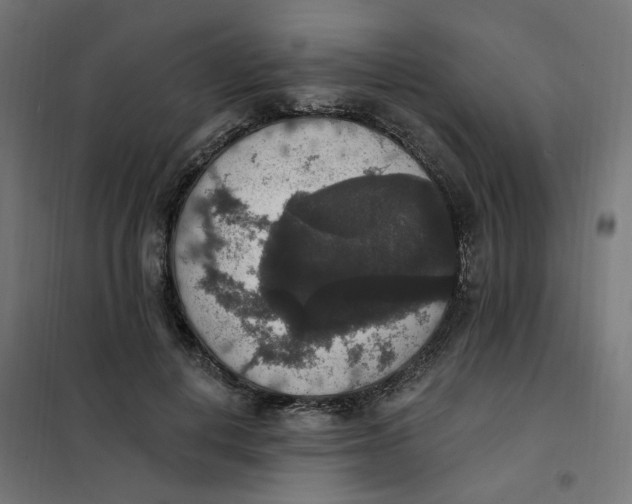 X0000102040648200808081836