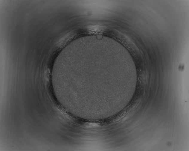 X0000102040649200808081836