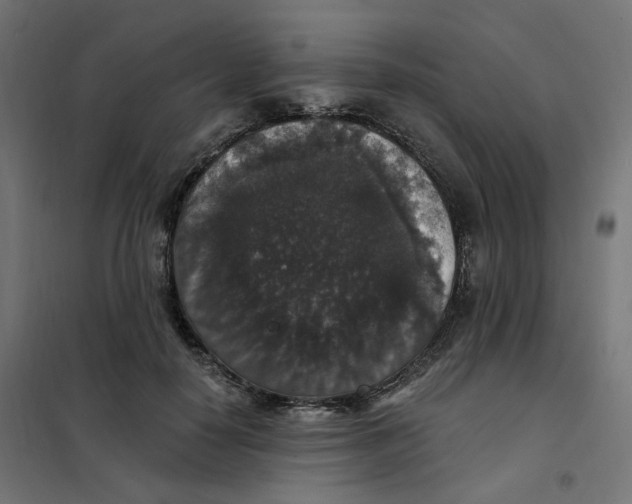 X0000102040650200808081836