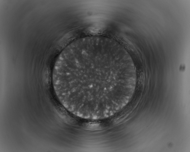 X0000102040651200808081836