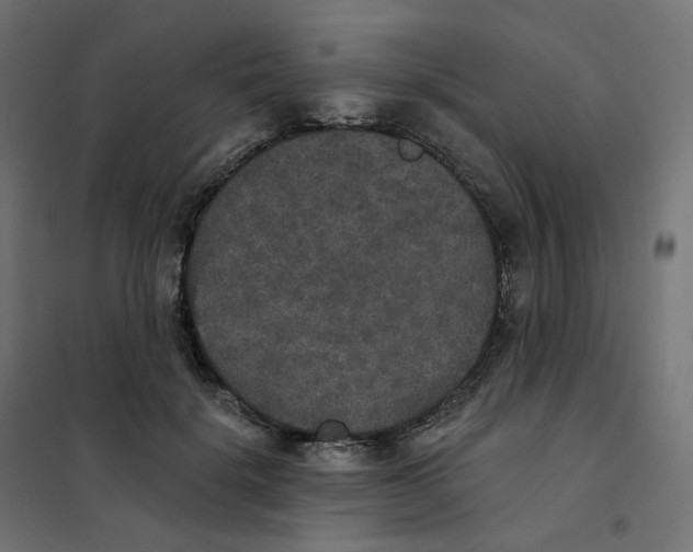 X0000102040652200808081836