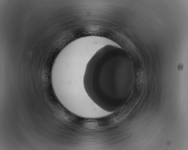 X0000102040653200808081836