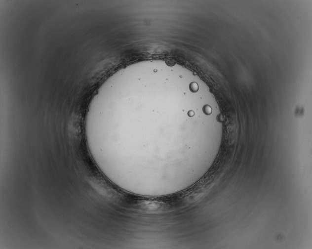 X0000102040654200808081836