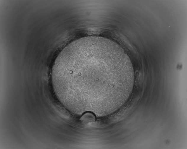 X0000102040655200808081836