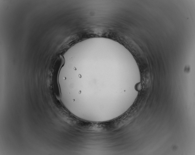 X0000102040656200808081836