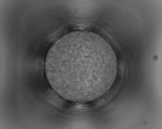 X0000102040657200808081836