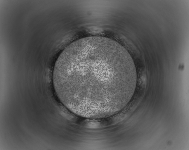 X0000102040658200808081836