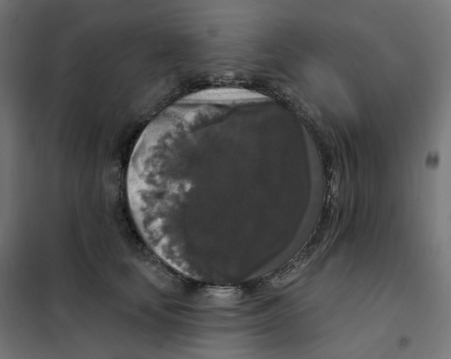 X0000102040659200808081836