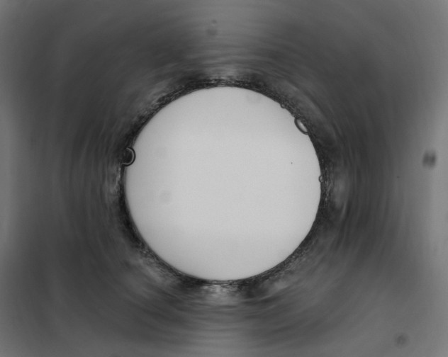 X0000102040660200808081836