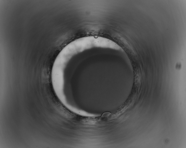 X0000102040661200808081836