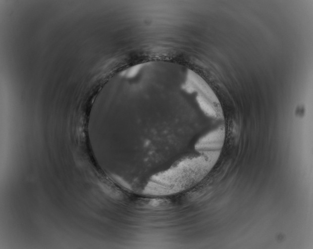 X0000102040663200808081836