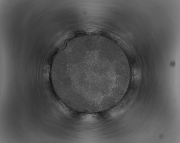 X0000102040664200808081836