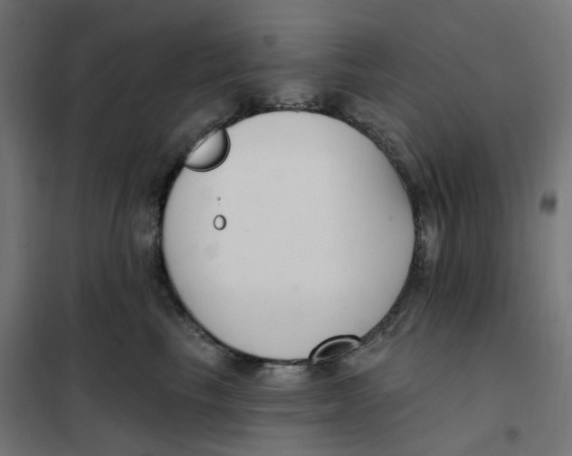 X0000102040665200808081836