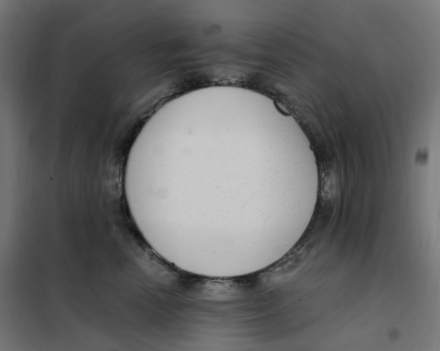 X0000102040666200808081836