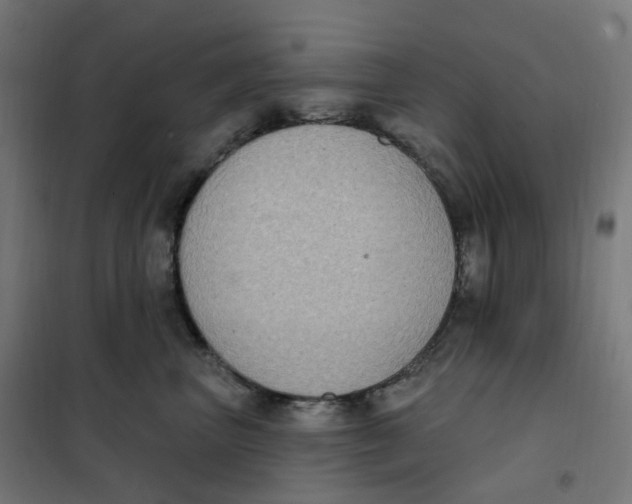 X0000102040667200808081836