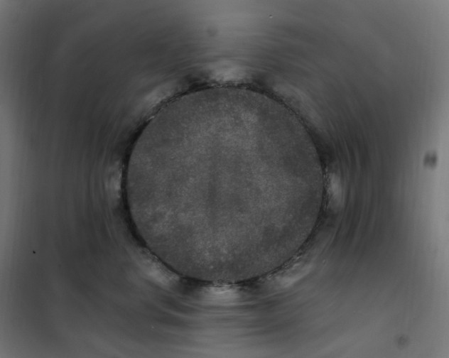 X0000102040668200808081836