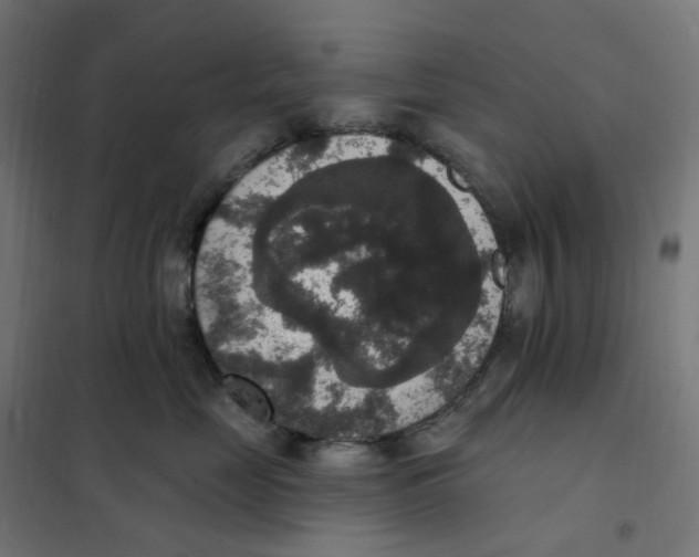 X0000102040669200808081836