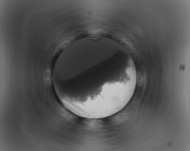 X0000102040670200808081836