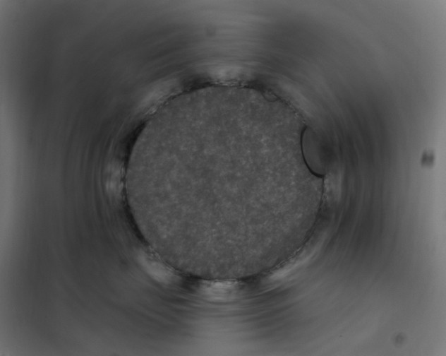 X0000102040671200808081836