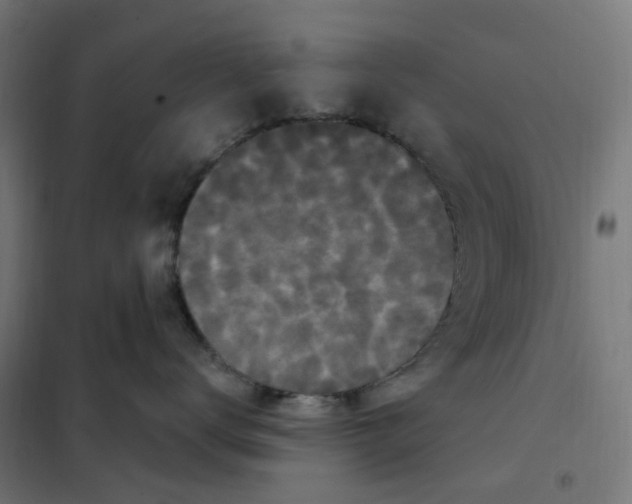 X0000102040672200808081836