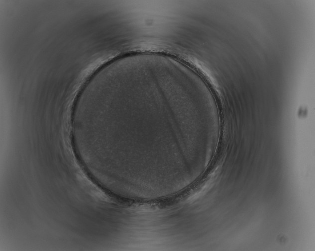 X0000102040673200808081835