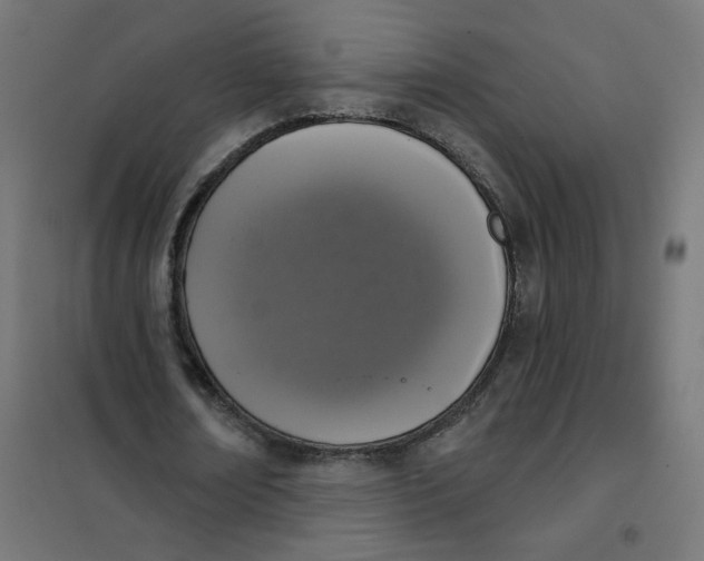 X0000102040674200808081835