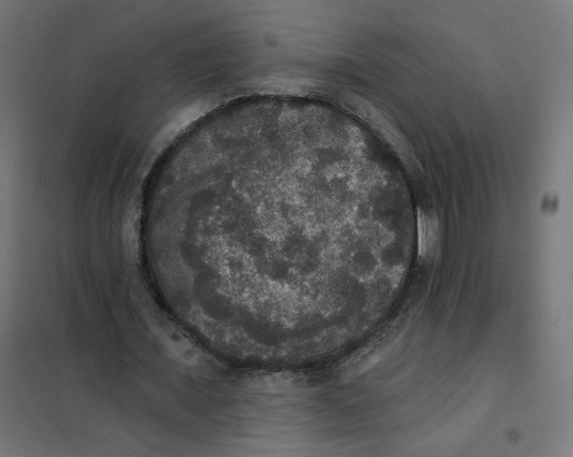 X0000102040675200808081835