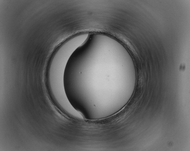 X0000102040677200808081835