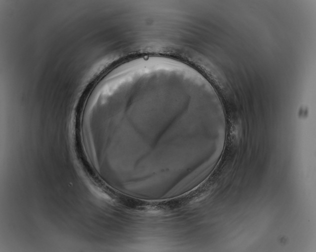 X0000102040678200808081835