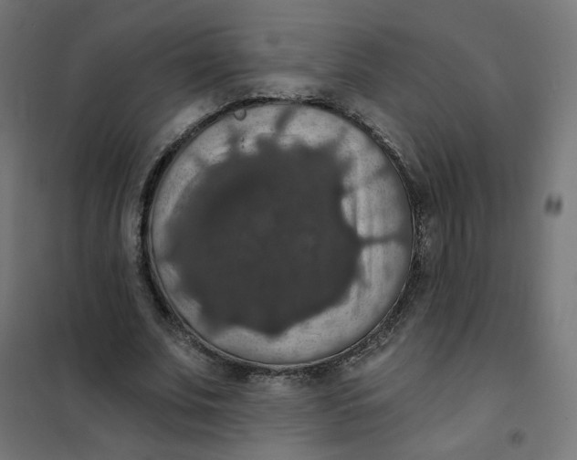 X0000102040679200808081835