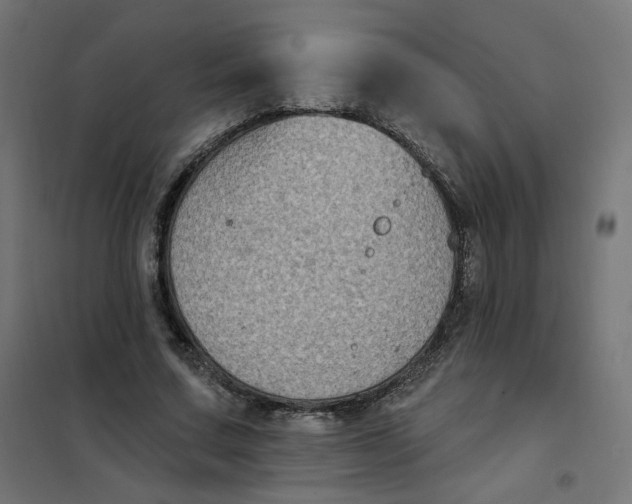 X0000102040683200808081835