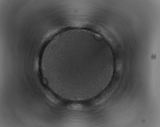 X0000102040685200808081835