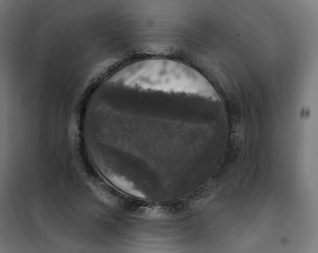 X0000102040688200808081835