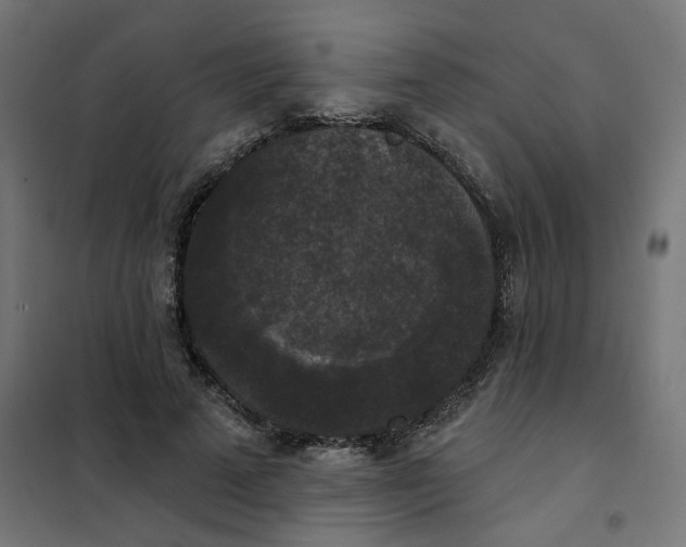 X0000102040689200808081835