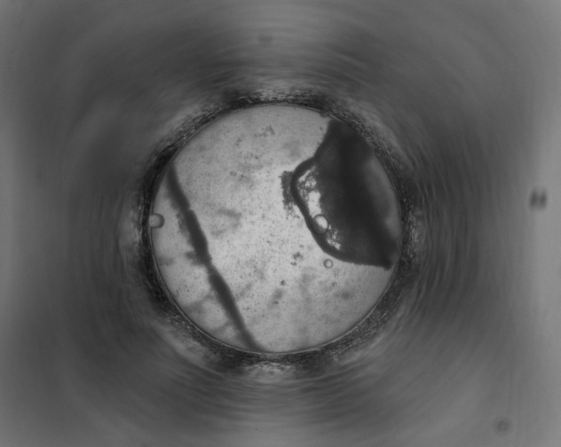 X0000102040691200808081835