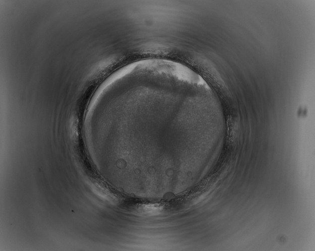 X0000102040692200808081835