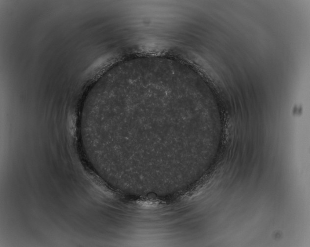 X0000102040693200808081835