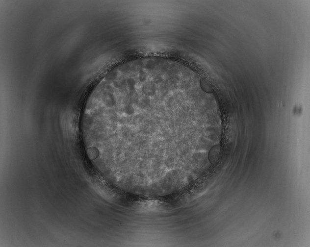 X0000102040695200808081835