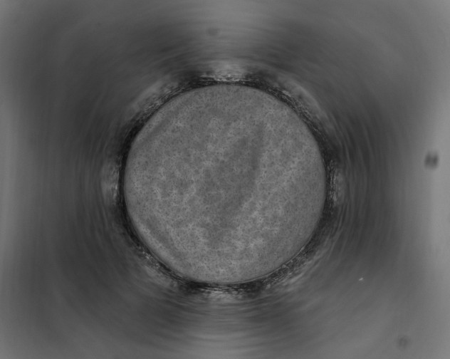 X0000102040697200808081835