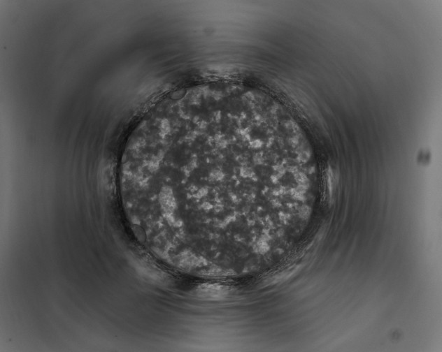 X0000102040699200808081835