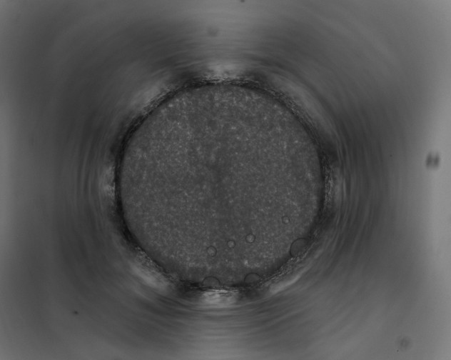 X0000102040700200808081835