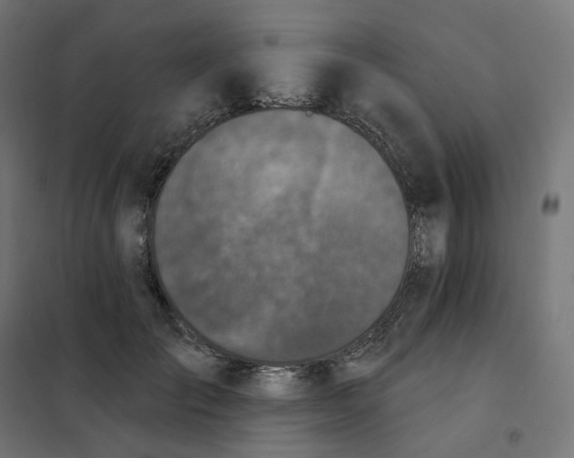 X0000102040701200808081835