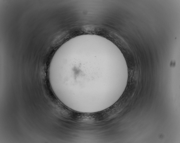 X0000102040702200808081835