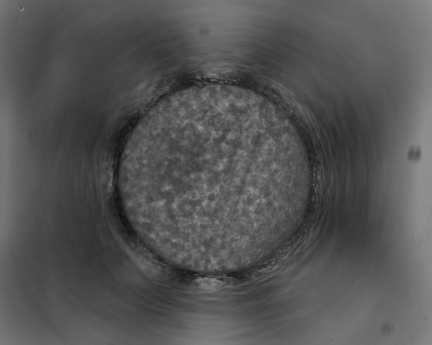 X0000102040703200808081835