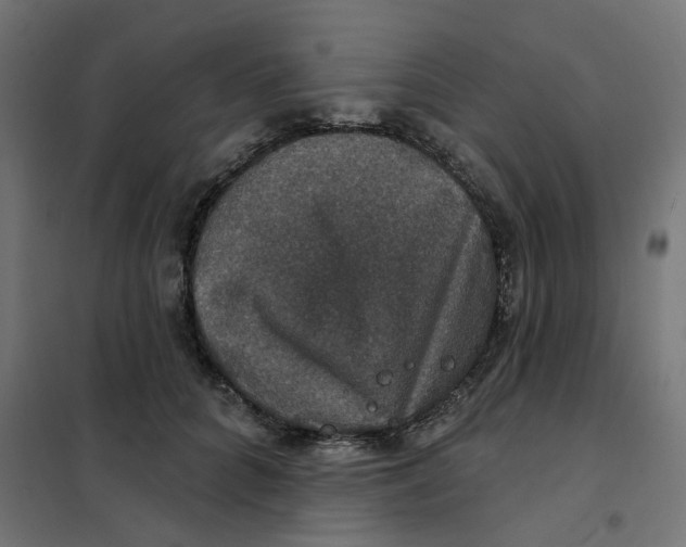 X0000102040704200808081835