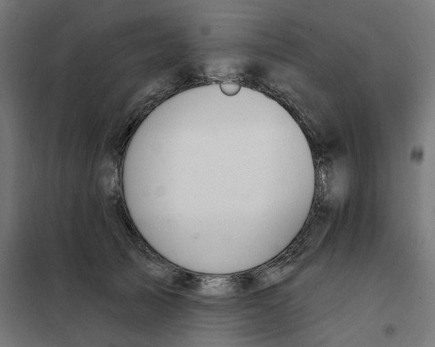 X0000102040705200808081835