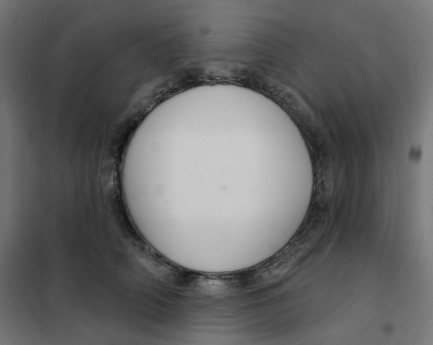 X0000102040706200808081835