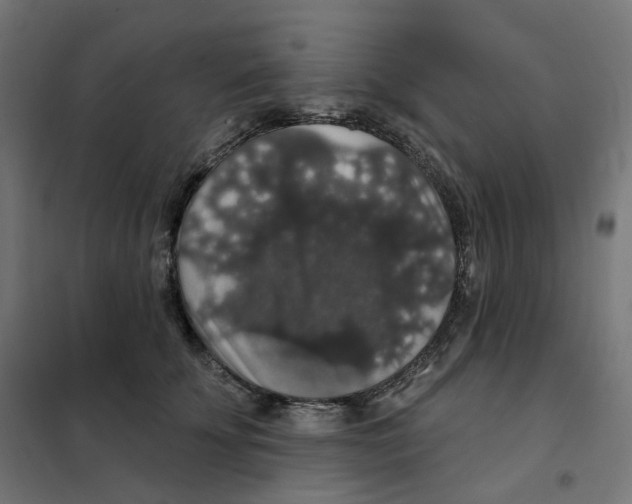 X0000102040707200808081835