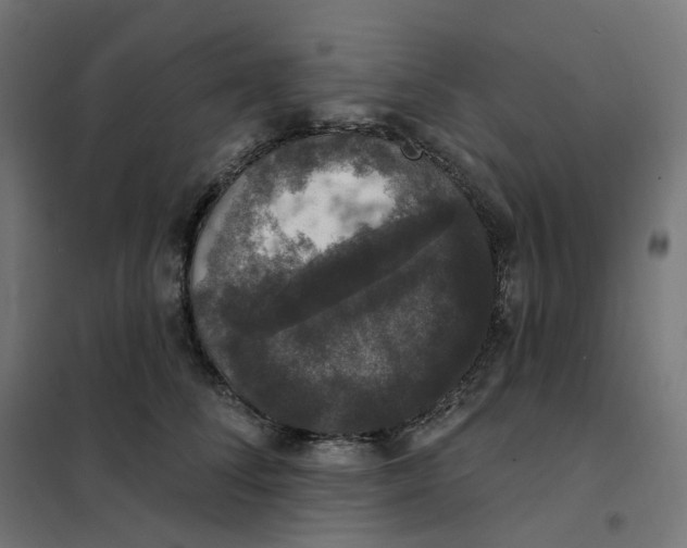 X0000102040708200808081835